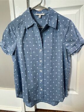 Pale Sky Blue Short-Sleeve Button-Down Shirt - XSP